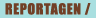 Bibliografie - Reportagen