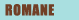 Bibliografie - Romane